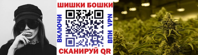 сайты даркнета наркотические препараты  Бийск  Конопля сатива  цены наркотик 